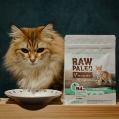 RAW PALEO sausā barība